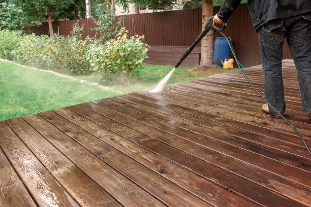 Best Boat and Dock Cleaning  in Adrian, MN