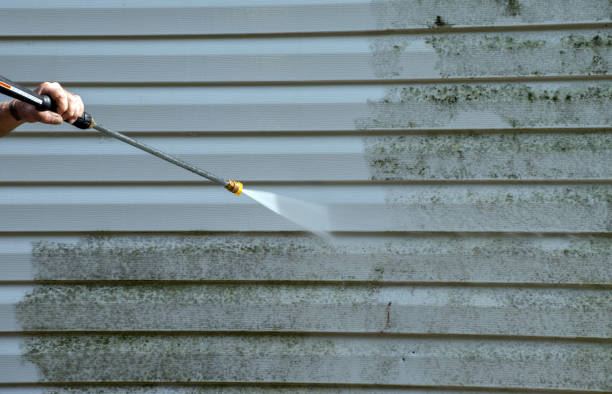 Best House Exterior Washing  in Adrian, MN